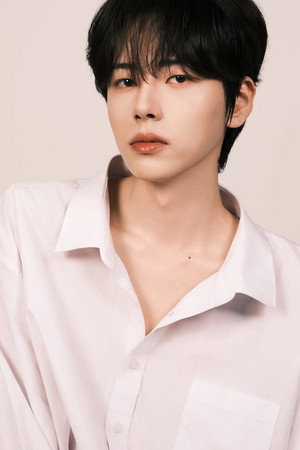 Li Zheng Jun